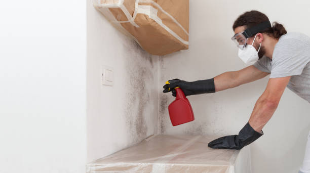 Professional Bathroom Mold Removal technician working in Saint Joseph, MI